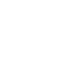 Unleashed Brands